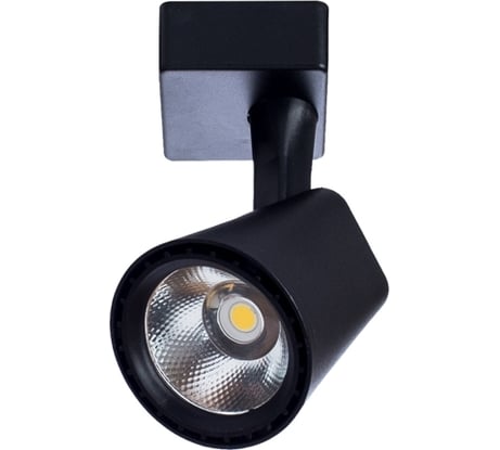 Потолочный светильник Arte Lamp A1811PL-1BK