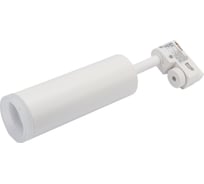 Потолочный светильник Arte Lamp A6811PL-1WH