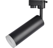Потолочный светильник Arte Lamp A6811PL-1BK