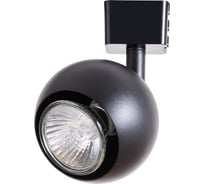 Потолочный светильник Arte Lamp A6253PL-1BK
