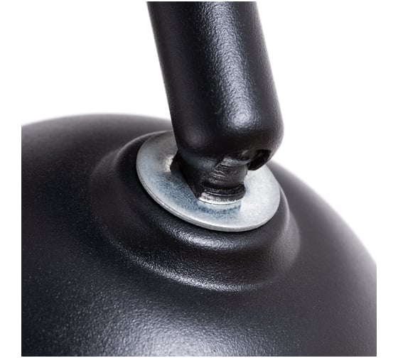 Потолочный светильник Arte Lamp A6253PL-1BK