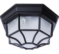 Потолочный светильник Arte Lamp A3100PL-1BK