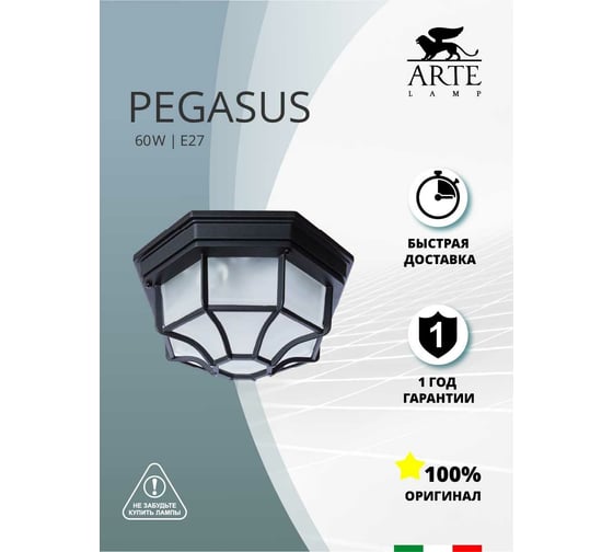 Потолочный светильник Arte Lamp A3100PL-1BK