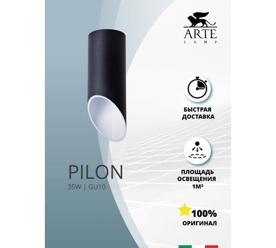 Потолочный светильник Arte Lamp A1615PL-1BK