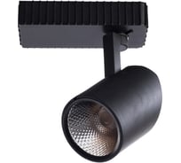 Потолочный светильник Arte Lamp A3607PL-1BK