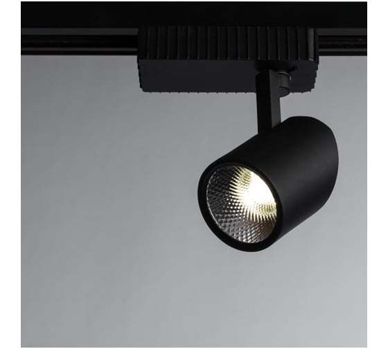 Потолочный светильник Arte Lamp A3607PL-1BK