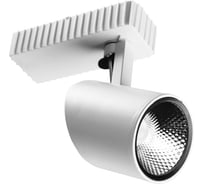Потолочный светильник Arte Lamp A3607PL-1WH
