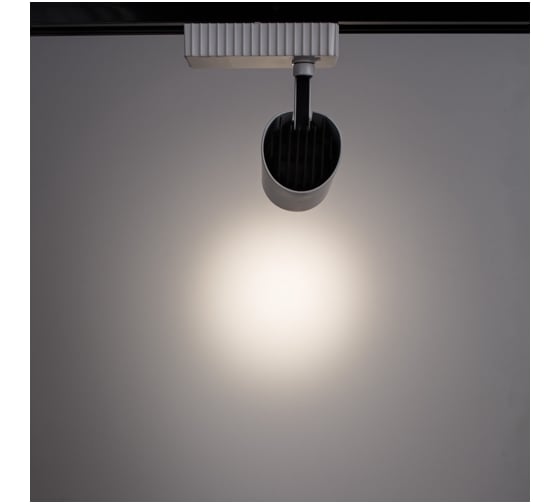 Потолочный светильник Arte Lamp A3607PL-1WH