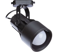 Потолочный светильник Arte Lamp A6252PL-1BK