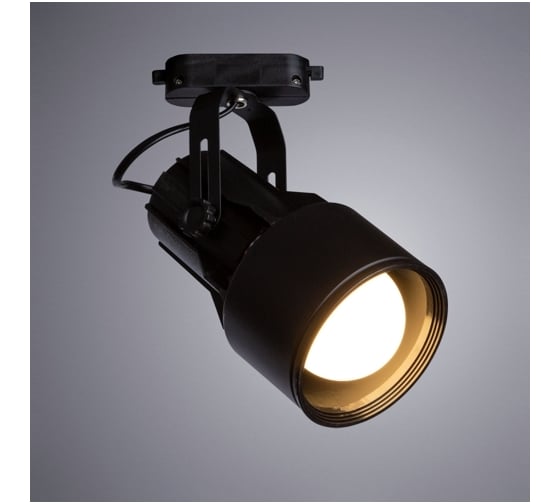 Потолочный светильник Arte Lamp A6252PL-1BK