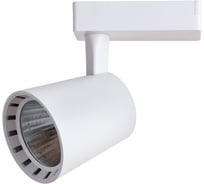 Потолочный светильник Arte Lamp A2324PL-1WH