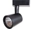 Потолочный светильник Arte Lamp A2315PL-1BK 1