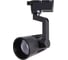 Потолочный светильник Arte Lamp A1613PL-1BK 1