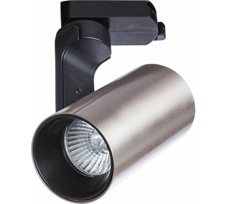 Потолочный светильник Arte Lamp A2668PL-1SS