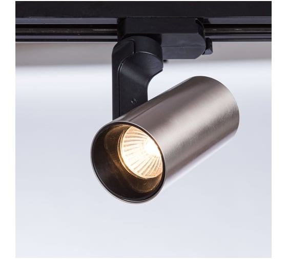 Потолочный светильник Arte Lamp A2668PL-1SS