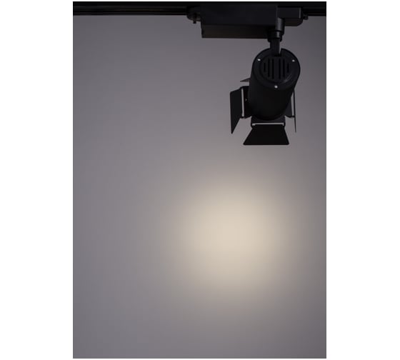 Потолочный светильник Arte Lamp A6720PL-1BK