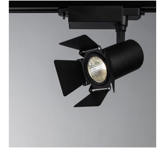 Потолочный светильник Arte Lamp A6720PL-1BK