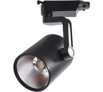 Потолочный светильник Arte Lamp A2330PL-1BK