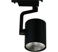 Потолочный светильник Arte Lamp A2320PL-1BK