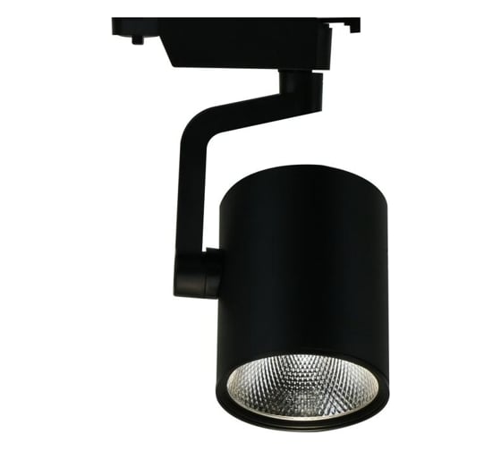 Потолочный светильник Arte Lamp A2320PL-1BK 1