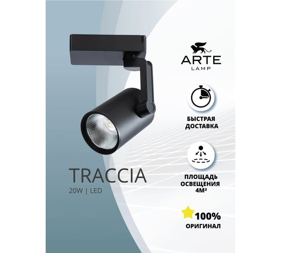 Потолочный светильник Arte Lamp A2320PL-1BK