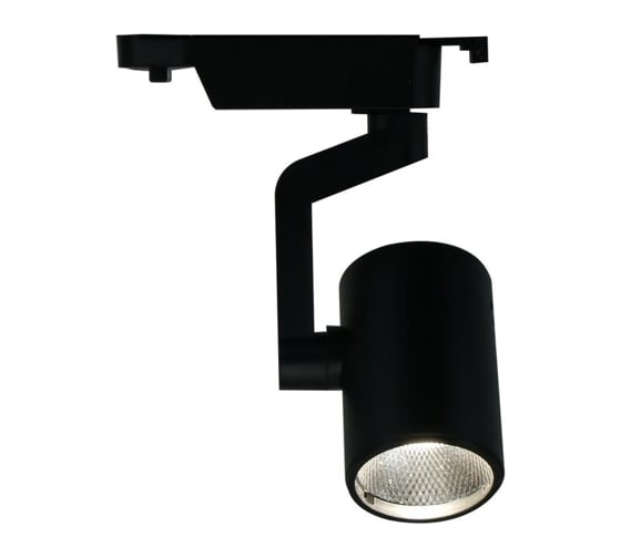 Потолочный светильник Arte Lamp A2310PL-1BK 1