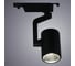 Потолочный светильник Arte Lamp A2310PL-1BK 2