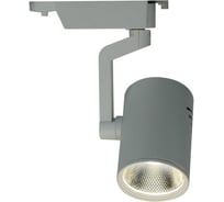 Потолочный светильник Arte Lamp A2320PL-1WH