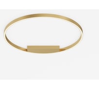 Потолочный светильник MAYTONI Rim Алюминий, Латунь MOD058CL-L50BSK