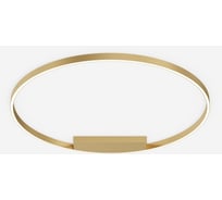 Потолочный светильник MAYTONI Rim Алюминий, Латунь MOD058CL-L65BSK