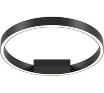 Потолочный светильник MAYTONI Rim Алюминий, Черный MOD058CL-L25BK