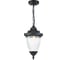 Садово-парковый светильник FERON PL585 60W, 230V, IP44, черный 41166 1