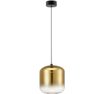 Подвесной светильник Freya Ida Матовый Черный Металл FR6133PL-L4G