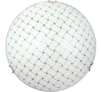 Светильник ЭЛЕТЕХ Плетенка, 400 НПБ, 06-3х60, М65, матовый шампань/клипсы золото, ИУ 1005205270