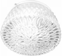 Светильник ЭЛЕТЕХ НПО-22-1x100-220, Таблетка, 250, хрусталь 1005150977