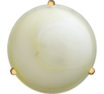 Светильник настенно-потолочный ЭЛЕТЕХ Дюна 300 НПБ 01-2x60-139 М16 желтый /кл.зол. 1005150589