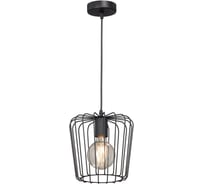 Люстра Vitaluce V4497-1/1S