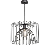 Люстра Vitaluce V4446-1/1S