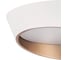 Люстра потолочная Lightstar Celesta 809456 2