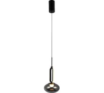 Подвесной светильник FAVOURITE Baron 4284-1P