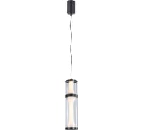 Подвесной светильник FAVOURITE Bones 4245-2P