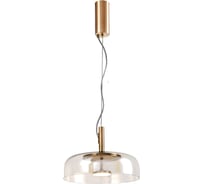 Подвесной светильник FAVOURITE Brandy 4258-1P