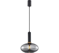Подвесной светильник F-promo Dubbel 4359-1P