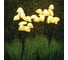 Садовый светильник на солнечной батарее Uniel USL-S-832/PM030 FAIRY MUSHROOMS SET25 UL-00011677 3