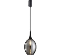 Подвесной светильник F-promo Dubbel 4361-1P