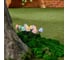 Садовый светильник на солнечной батарее Uniel USL-S-830/PM020 MULTICOLOR MUSHROOMS SET12 UL-00011676 4
