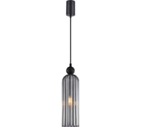 Подвесной светильник F-promo Semisfera 4367-1P