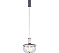 Подвесной светильник FAVOURITE Flaska 4312-1P