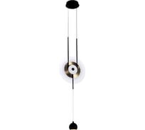 Подвесной светильник FAVOURITE Reverse 4566-2P