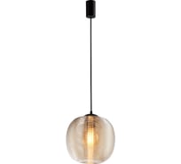 Подвесной светильник FAVOURITE Riff 4260-1P